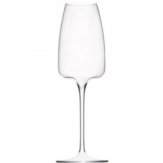 Lehmann Pro Oeno Champagneglas 38 cl